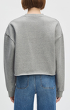Person wearing a gray sweatshirt and blue jeans on a white background