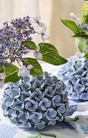 Close-up of blue hydrangeas with green leaves on a neutral background