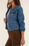 Denim jacket with brown collar and pants on a plain background