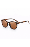 brown sunglasses on white background