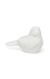 white bird on white background