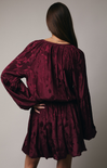 Woman wearing a burgundy velvet dress against a plain background