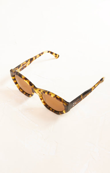 Tortoiseshell sunglasses on a white background
