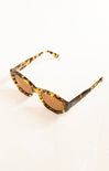 Tortoiseshell sunglasses on a white background