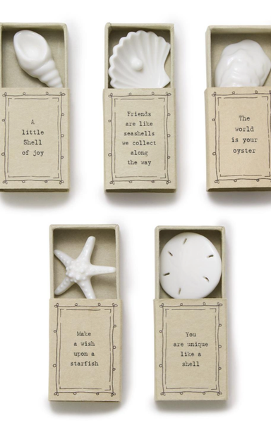 shop-at-grace-by-the-sea-shell-figurine-in-matchbox
