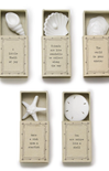 shop-at-grace-by-the-sea-shell-figurine-in-matchbox