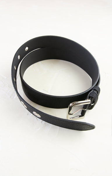 Black leather collar with metal buckle on a white background