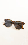 Tortoiseshell sunglasses on a white background