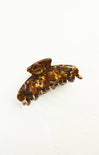 Tortoiseshell hair clip on a white background