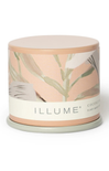 shop-at-grace-coconut-milk-mango-vanity-tin-demi