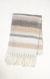 Striped scarf with fringes on a white background