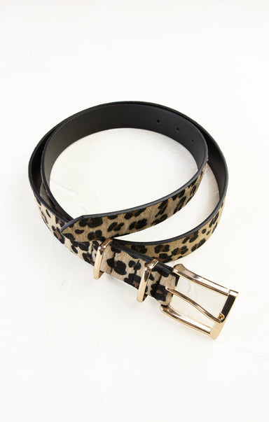 Leopard print belt with a gold buckle on a white background