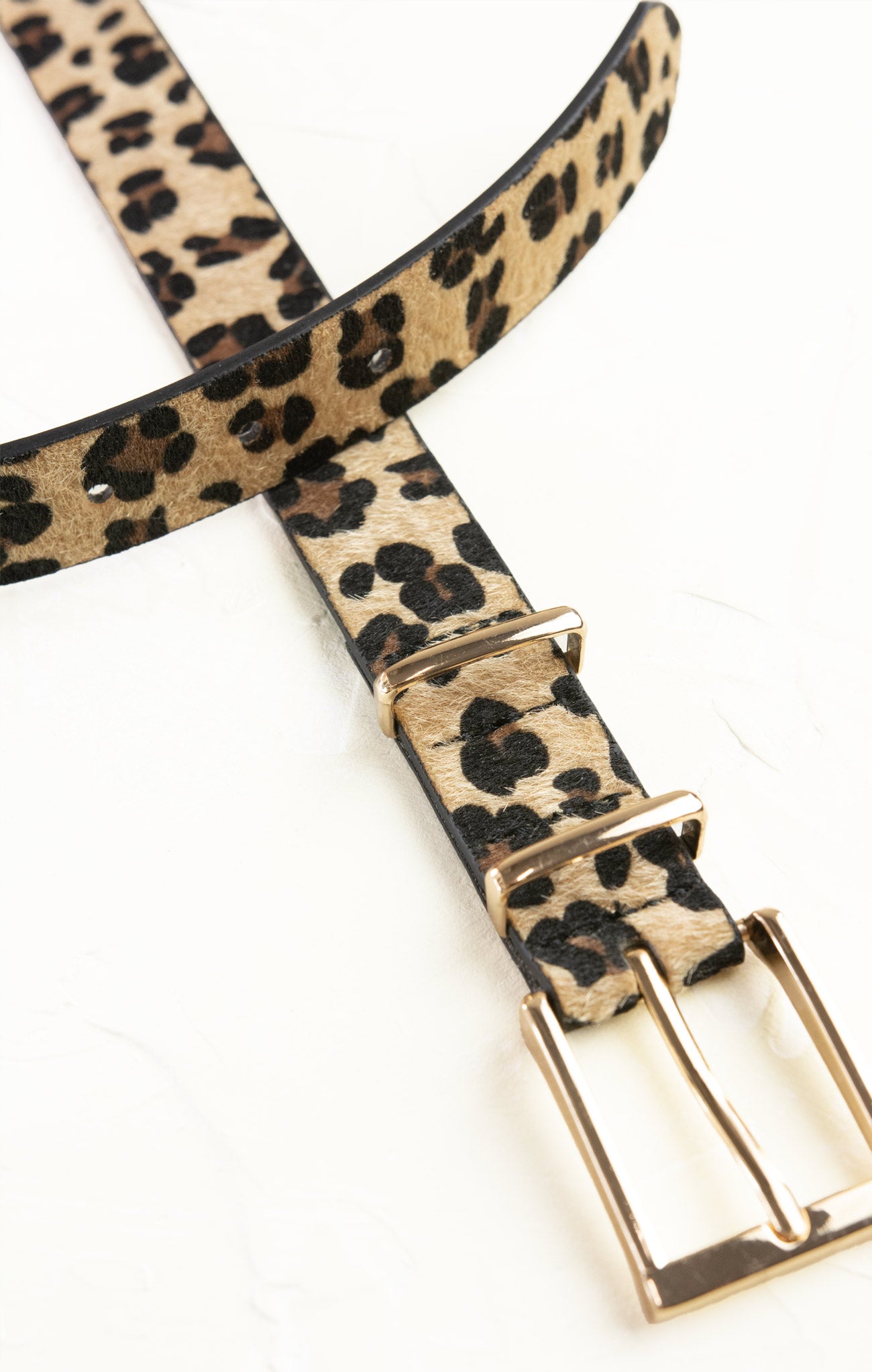 Leopard print belt with gold buckle on a white background