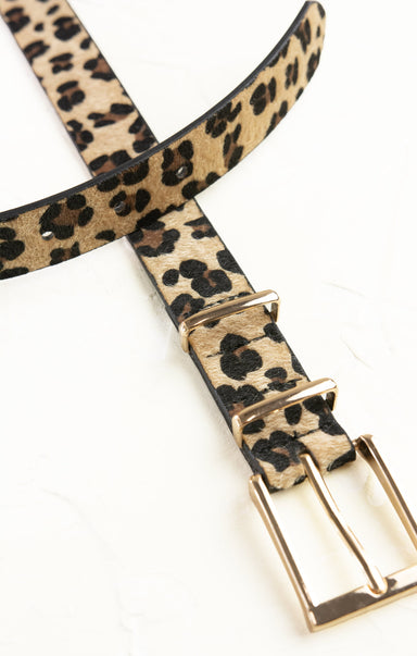 Leopard print belt with gold buckle on a white background