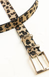 Leopard print belt with gold buckle on a white background