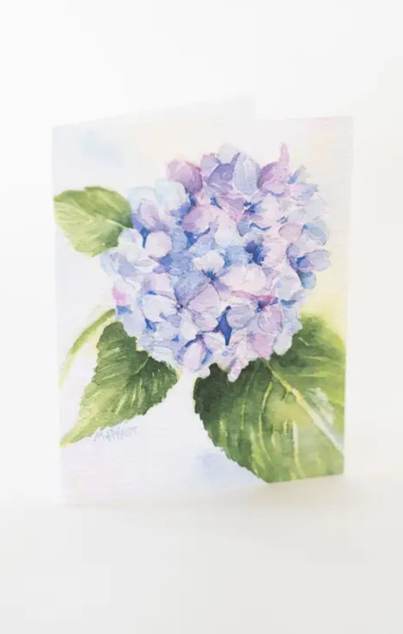 shop-at-grace-hydrangea-blank-greeting-card