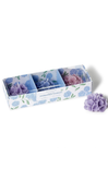 Set of purple candles in a decorative box with floral design on a white background