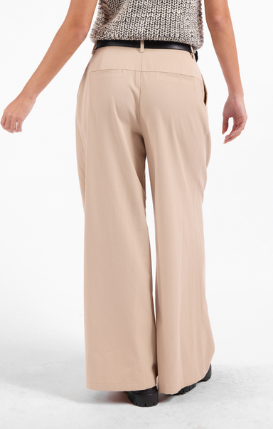 Beige wide-leg pants worn by a person on a white background