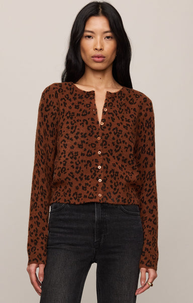 Woman wearing a brown leopard print blouse against a plain background