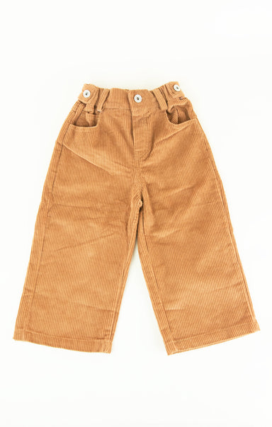 Brown corduroy pants on a white background