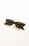 Sunglasses with tortoiseshell frame on a white background