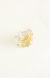 Shell-shaped object with gold accents on a white background