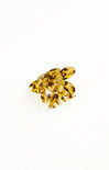 Yellow tortoiseshell ring on a white background