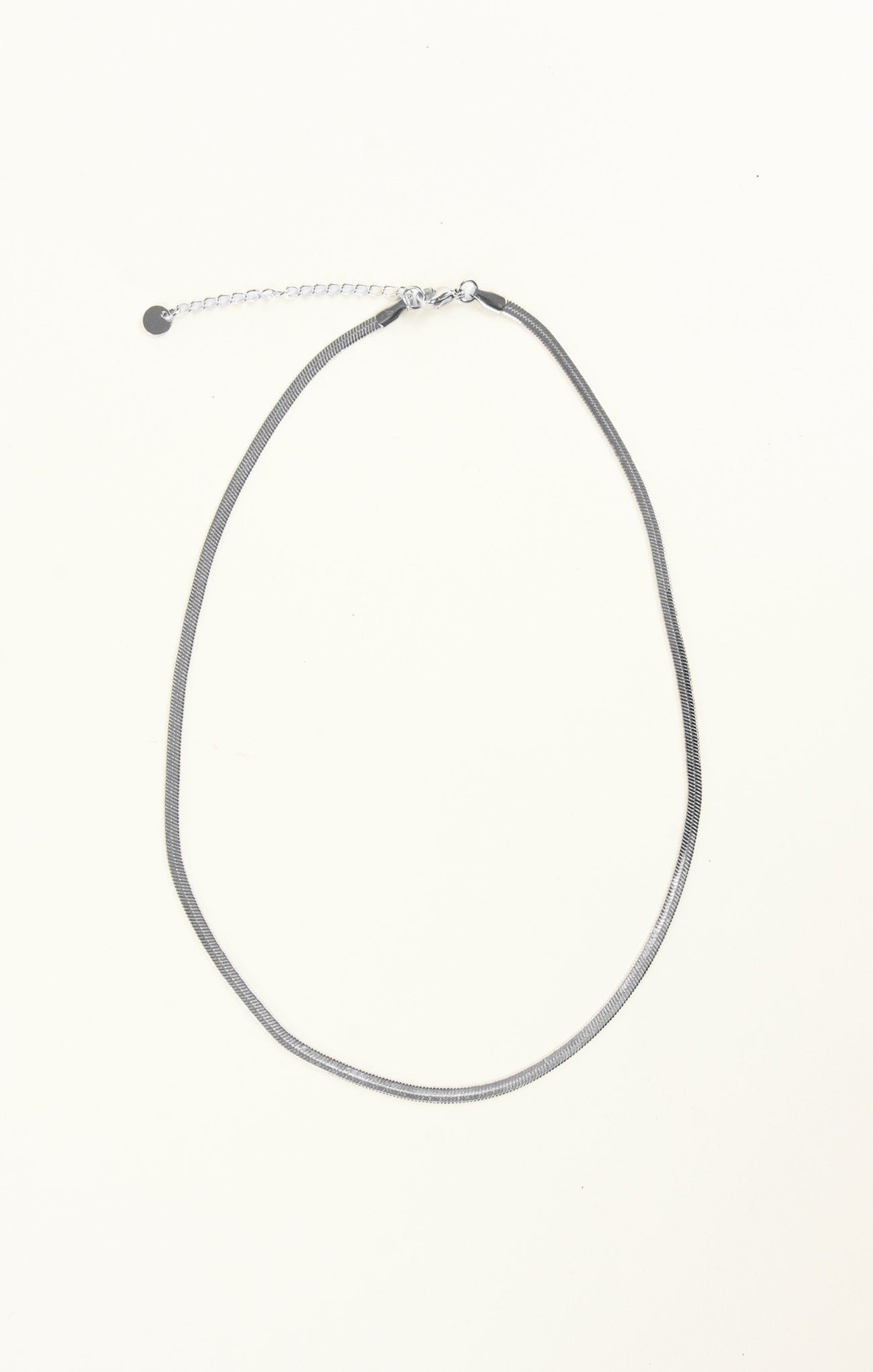 Silver necklace on a white background