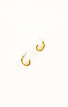 Gold hoop earrings on a white background
