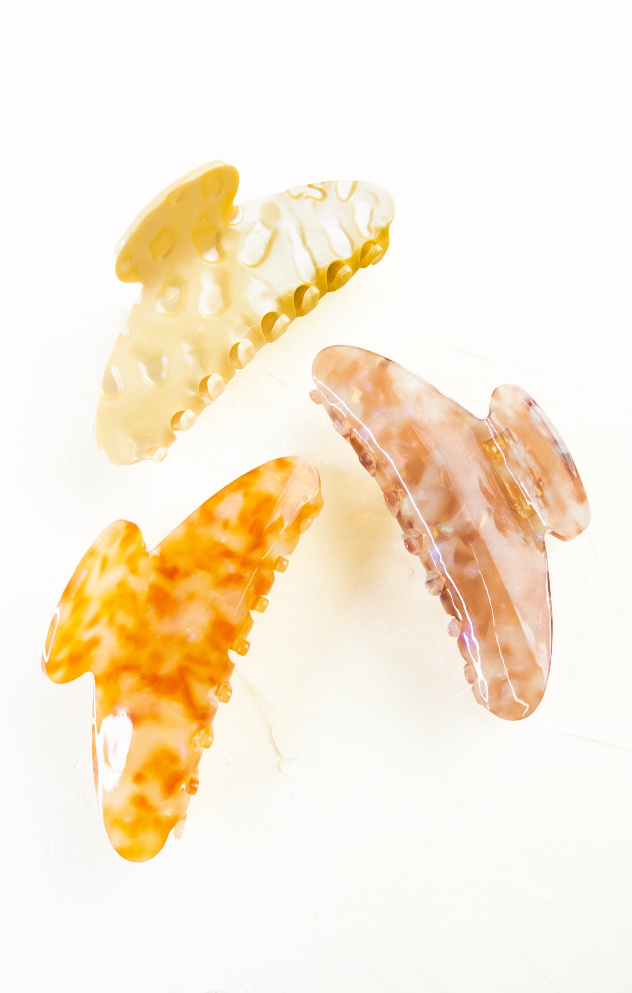 Three amber-colored seashells on a white background