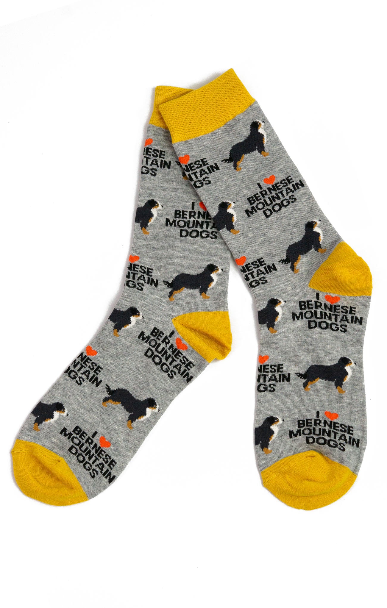 Bernese Mountain Dog Socks